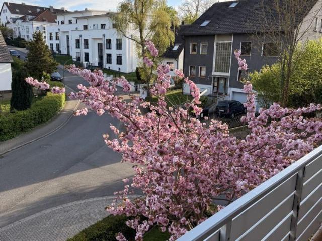 Apartment mieten in Wellinghofen, Dortmund