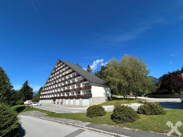 Apartment kaufen in Bad Mitterndorf, Steiermark