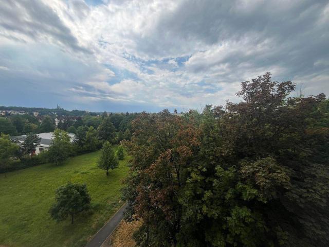 Apartment mieten in Neuplanitz, Zwickau