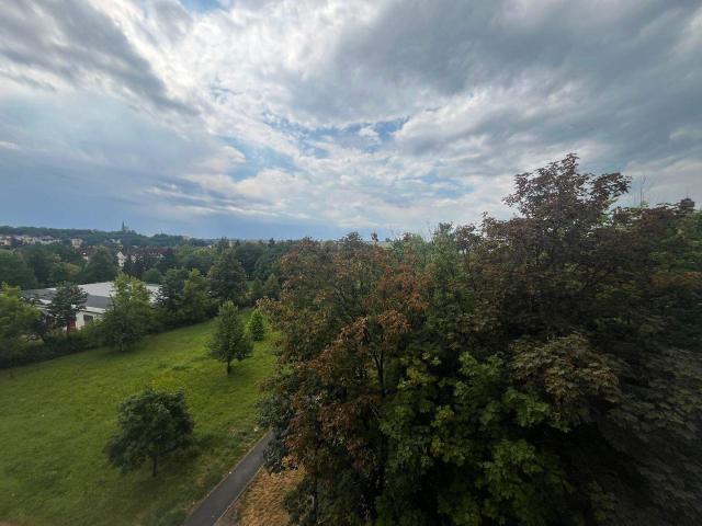 Apartment mieten in Neuplanitz, Zwickau