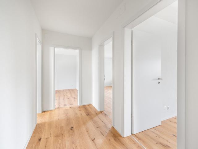 Apartment mieten in Einigen, Zürich