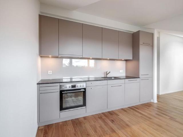 Apartment mieten in Kleinbasel, Basel