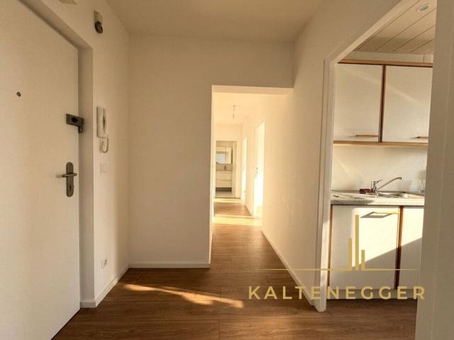 Wohnung mieten in Donaustadt, Wien