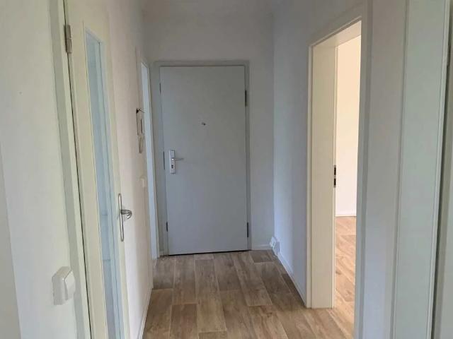 Apartment mieten in Johannstadt-Süd, Dresden