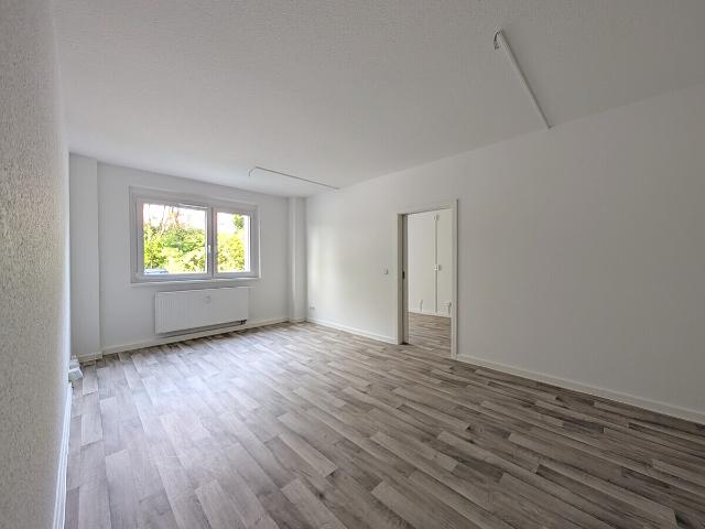 Apartment mieten in Wilkau-Haßlau, Sachsen