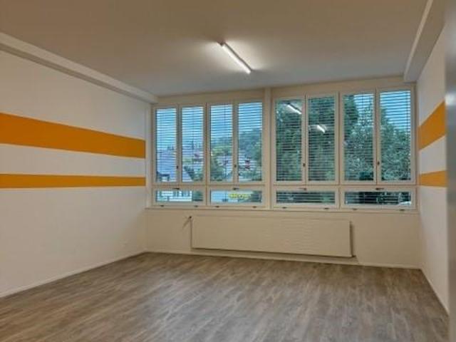 Immobilie kaufen in Wetzikon (ZH), Zürich