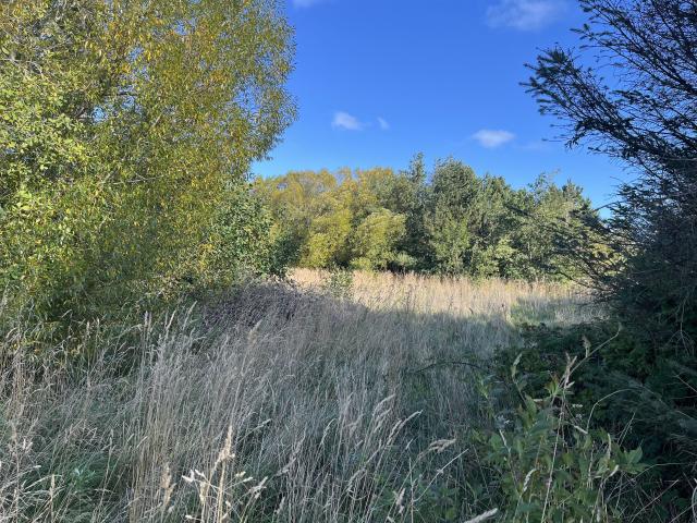 Grund til salg i Strandby, Brønderslev-Dronninglund