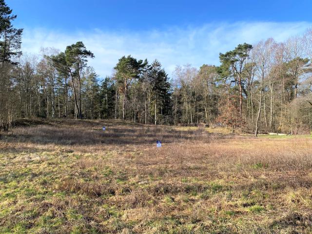 Grund til salg i Brøndby