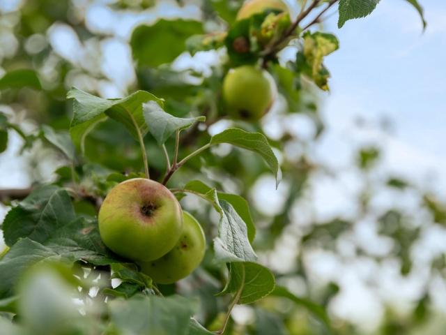 Hus till salu i Stockholm