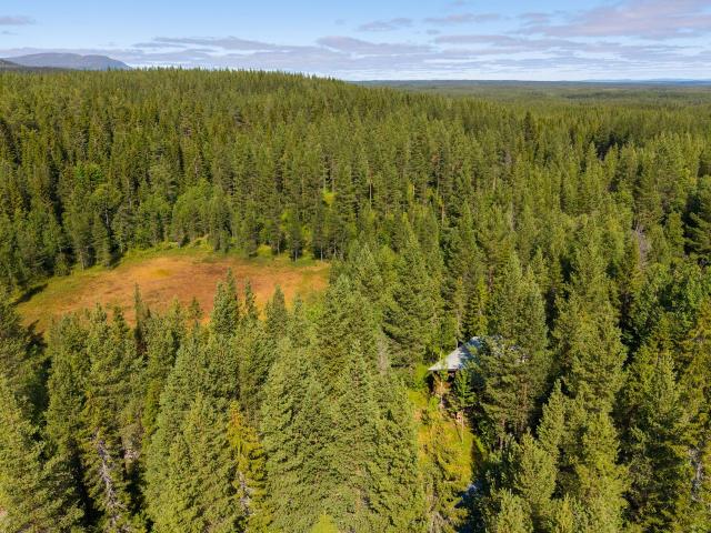 Hus till salu i Jämtland