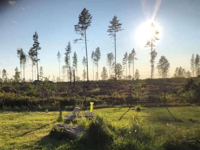 Hus till salu i Dalarna