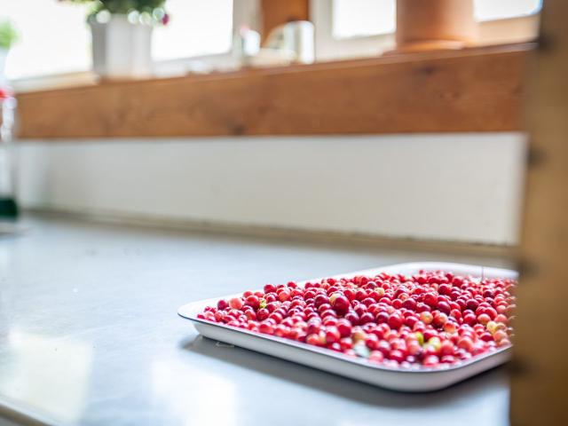 Hus till salu i Västerbotten