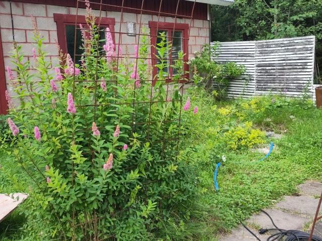 Hus till salu i Norrbotten