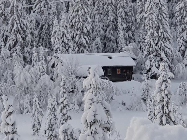 Hus till salu i Jämtland