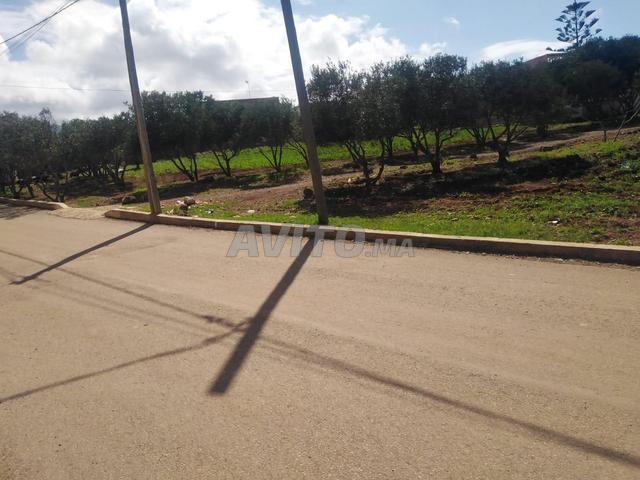 Propriété vente à Nador