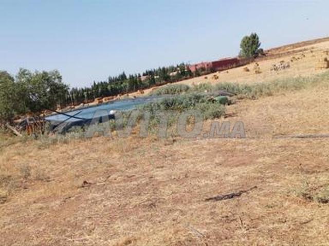 Propriété vente à Oulad Said, Gharb-Chrarda-Beni Hssen