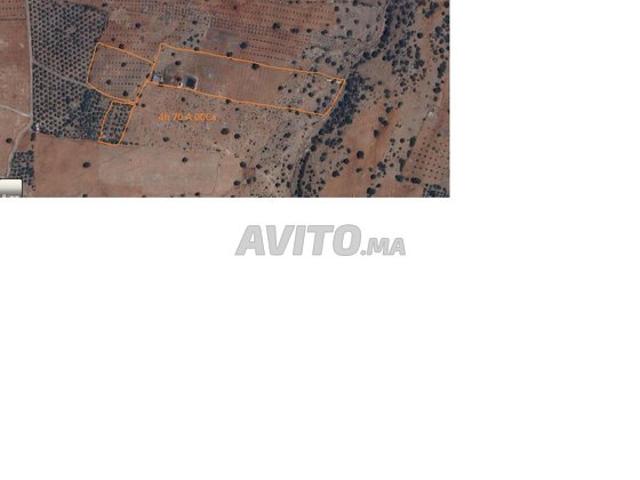 Propriété vente à Ksiba