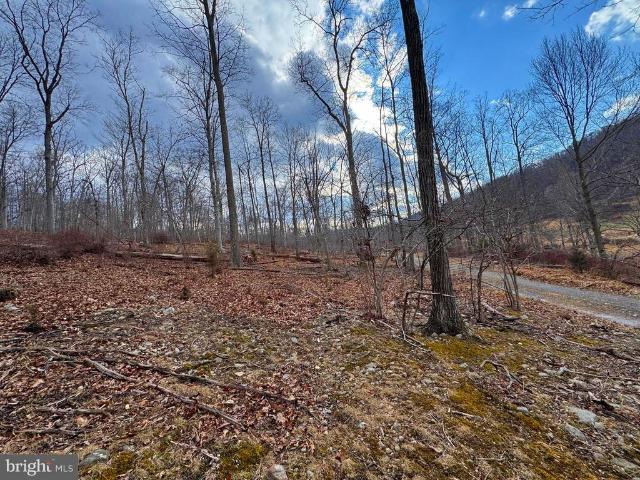 Land for sale in West Virginia