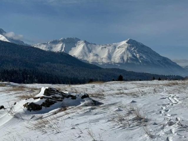 Land for sale in Coleman, Alberta