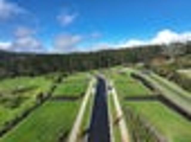 Land for sale in Kawau Island