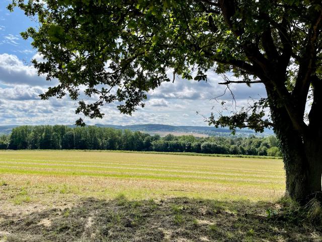 Erdgeschosswohnung kaufen in Fröndenberg, Nordrhein-Westfalen
