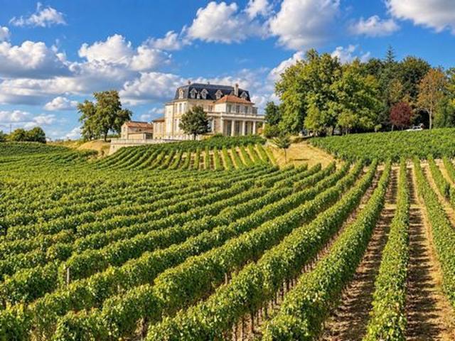 Villa vente à Fronsac, Gironde