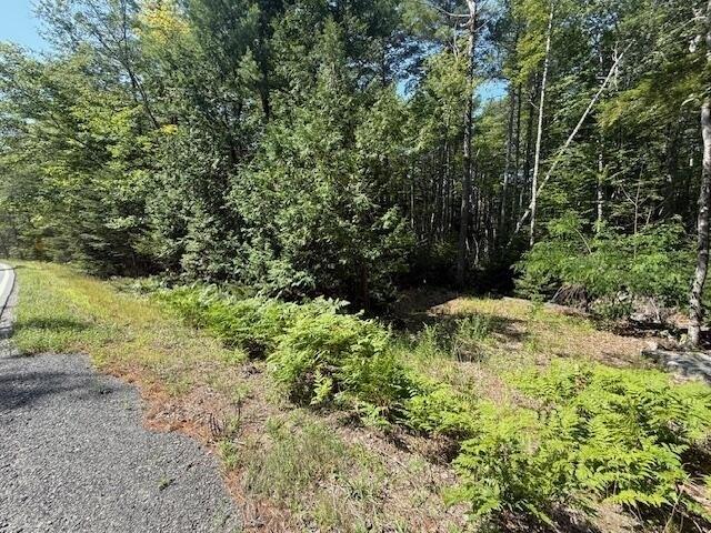 Land for sale in Penobscot, Maine