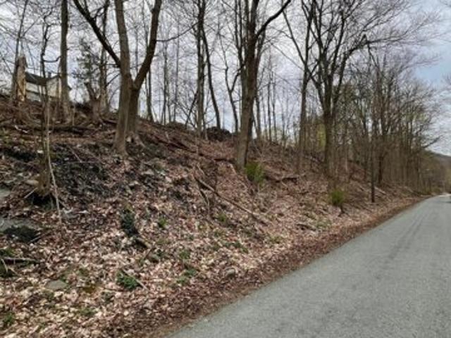 Land for sale in Susquehanna