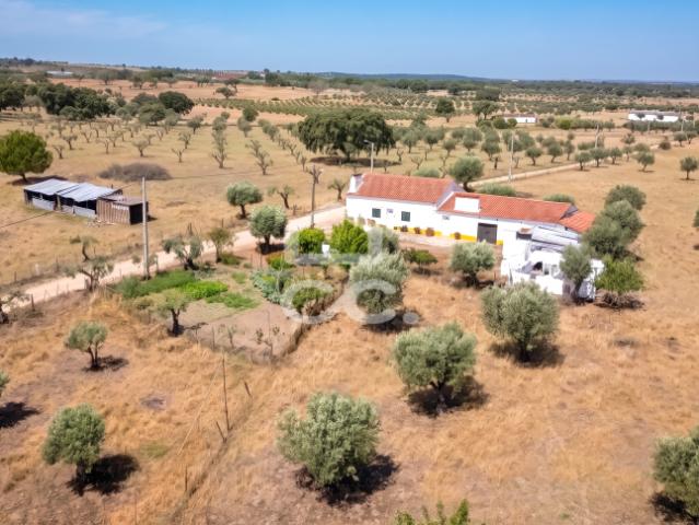Terreno venda em Fronteira, Portalegre