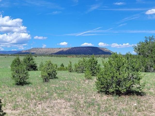 Land for sale in Datil, Catron County