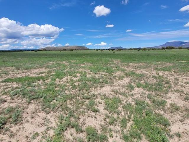Land for sale in Datil, Catron County