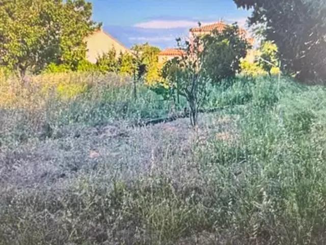 Terrain vente à Montpellier, Frontignan