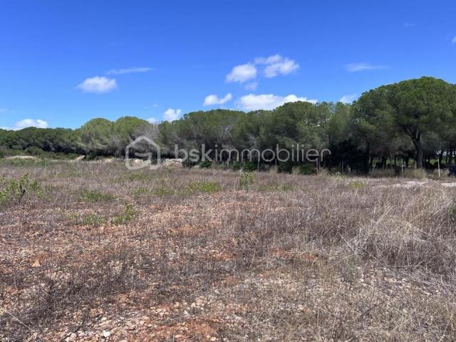 Terrain vente à Montpellier, Frontignan