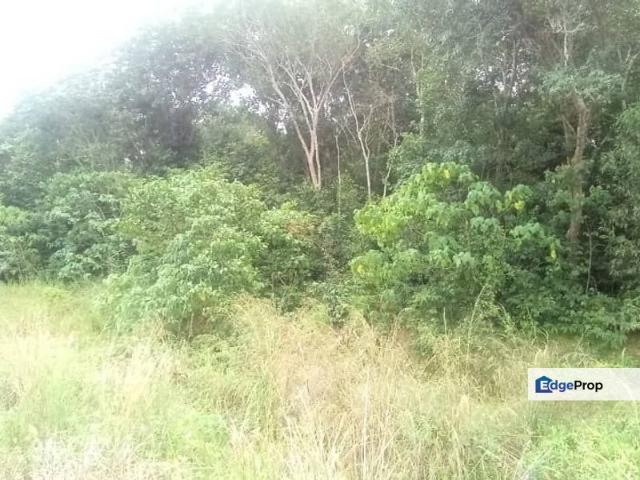 Warehouse for sale in Segamat, Johor