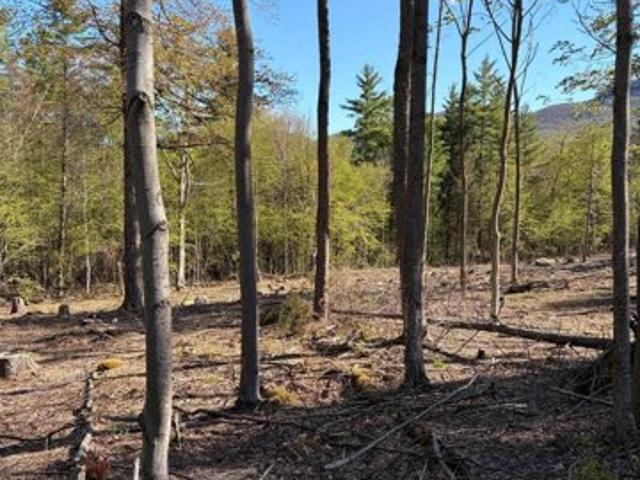 Land for sale in Bennington, Vermont