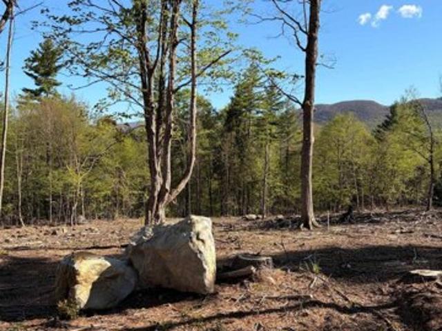 Land for sale in Bennington, Vermont