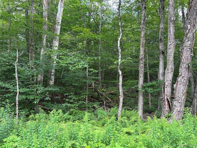 Land for sale in Neversink, New York