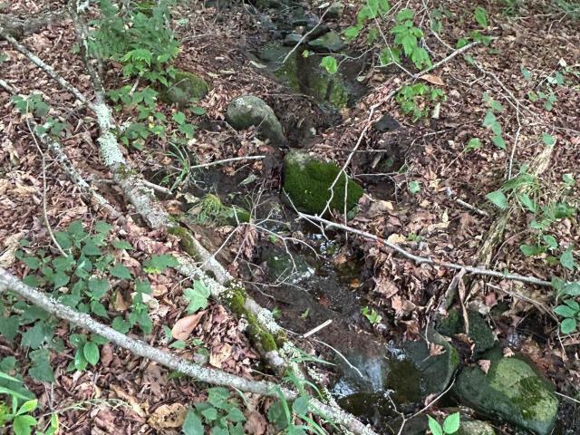 Land for sale in Neversink, New York