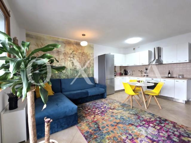 Apartament închirieri în Timisoara, Timiș