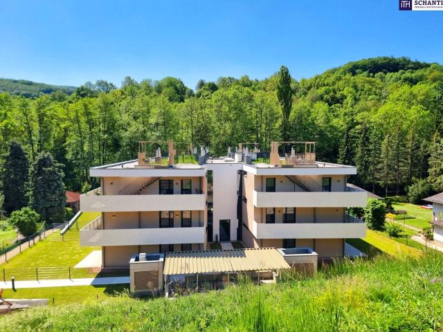 Wohnung kaufen in Kaltenleutgeben, Niederösterreich