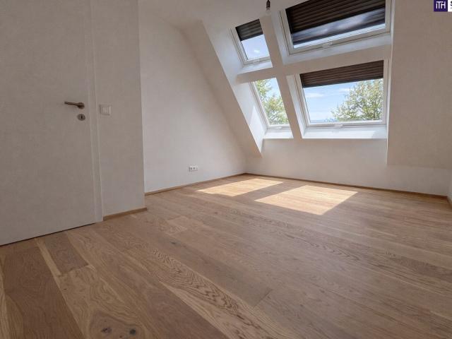 Wohnung kaufen in Traiskirchen, Niederösterreich