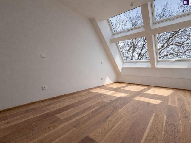 Wohnung kaufen in Traiskirchen, Niederösterreich