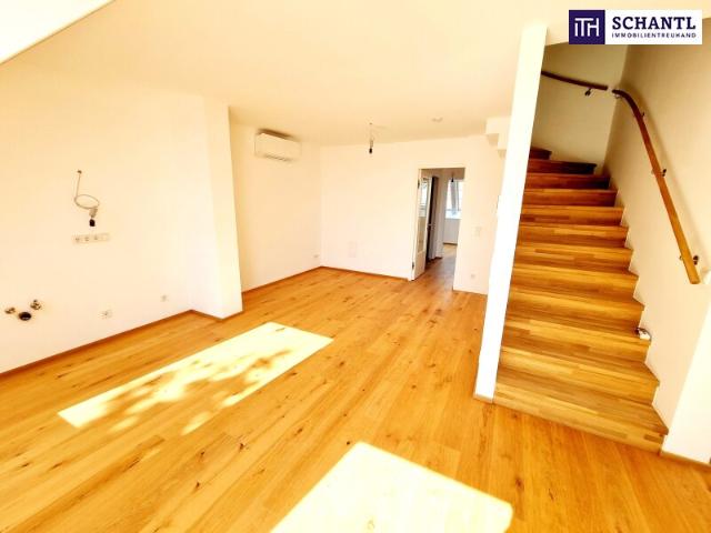 Dachgeschosswohnung kaufen in Wien