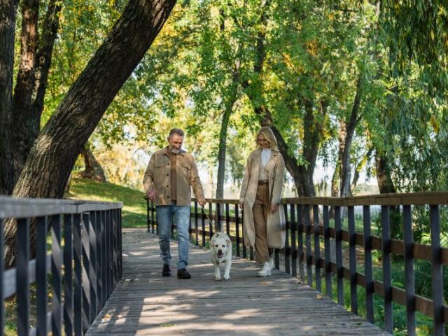 Wohnung kaufen in Mellau, Vorarlberg