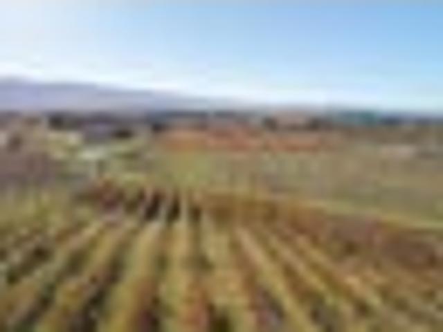 Land for sale in Otakou