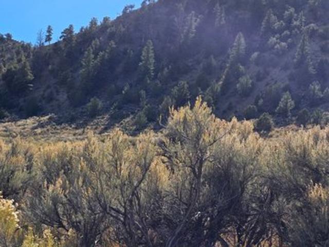 Land for sale in Utah