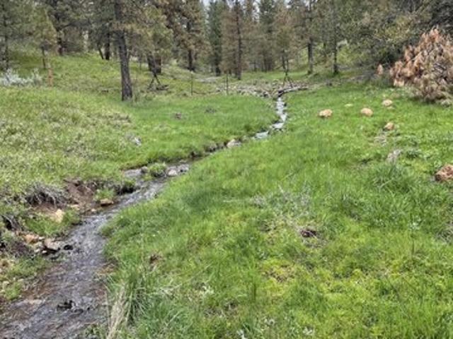 Land for sale in Council, Idaho