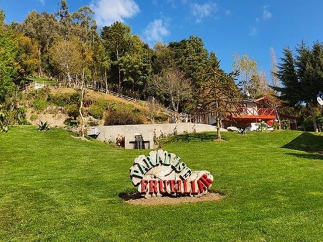 Frutillar, Centro Vacacional Punta Larga