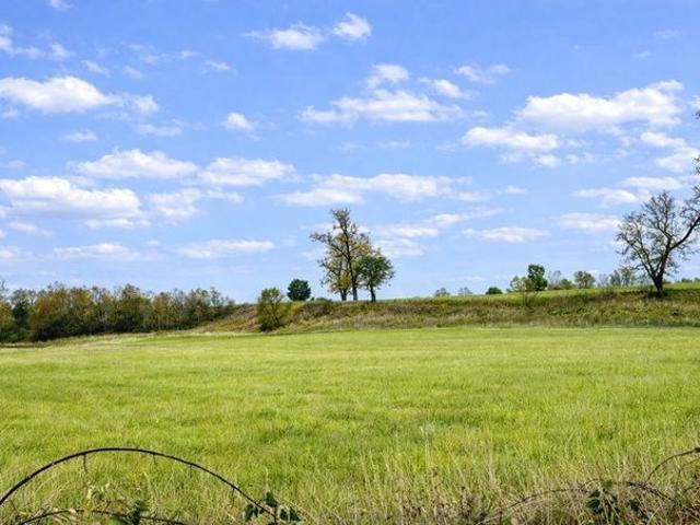 Frutillar, Los Muermos Cañitas