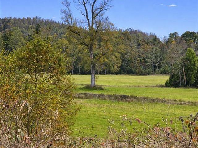 Frutillar, Los Muermos Cañitas